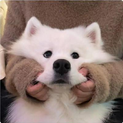Temporary profile image